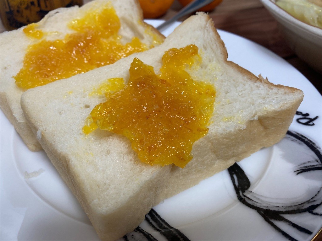 f:id:Magnoliarida:20201124082224j:image f:id:Magnoliarida:20201124082224j:image