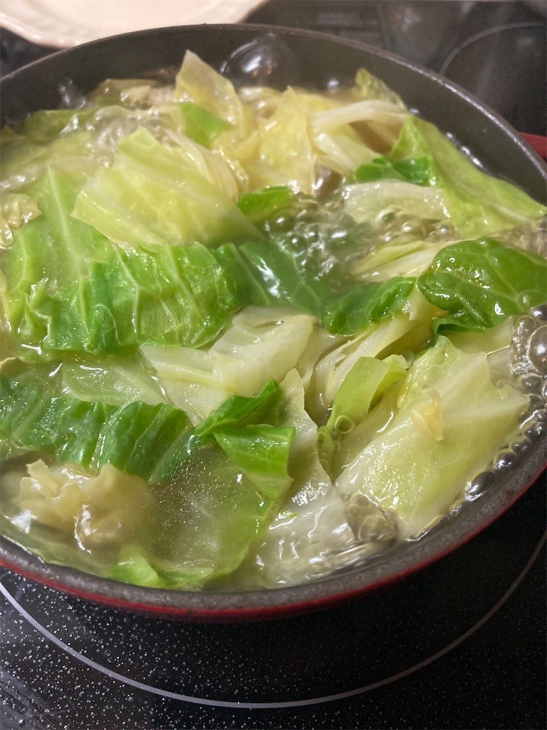 f:id:Magnoliarida:20201124082542j:image f:id:Magnoliarida:20201124082542j:image