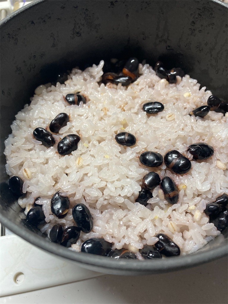 f:id:Magnoliarida:20201124082729j:image f:id:Magnoliarida:20201124082729j:image