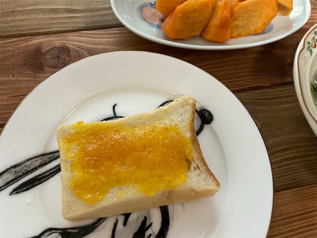 f:id:Magnoliarida:20201125072548j:image f:id:Magnoliarida:20201125072548j:image