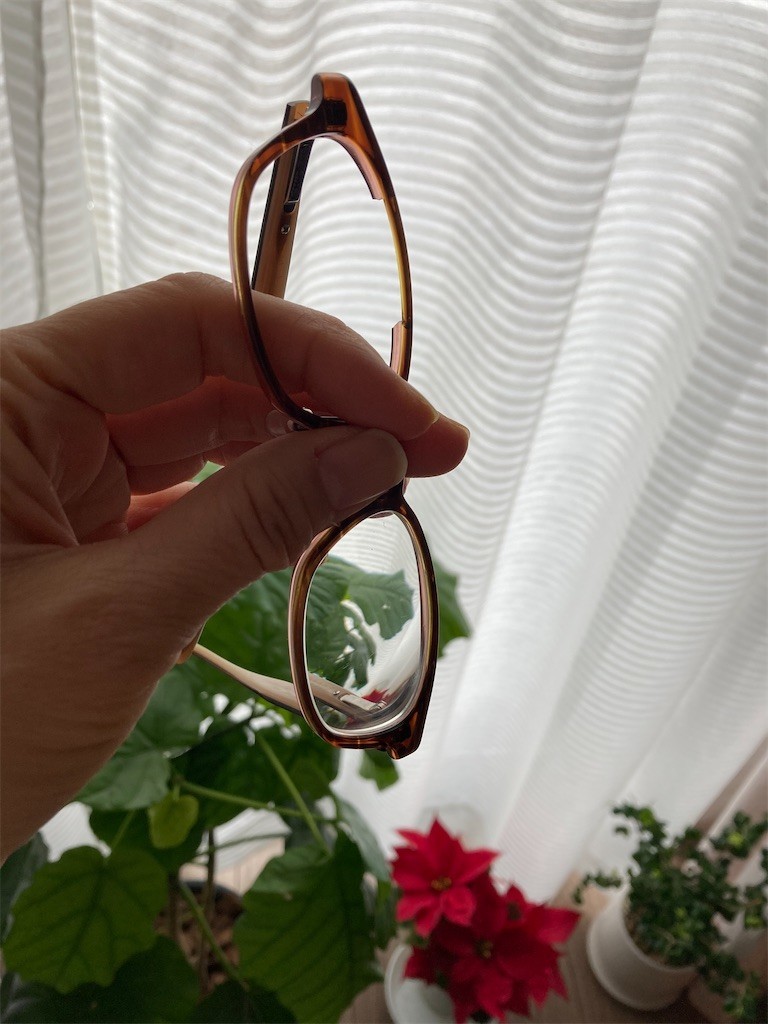 f:id:Magnoliarida:20201129091940j:image f:id:Magnoliarida:20201129091940j:image