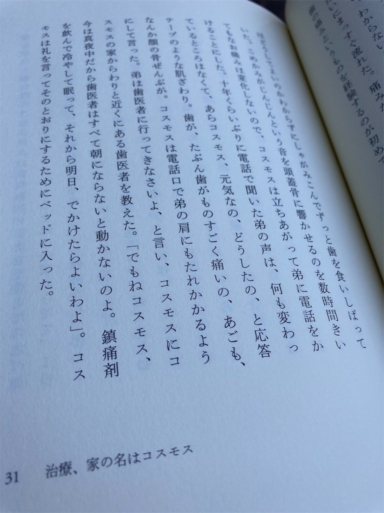 f:id:Magnoliarida:20201218110728j:image