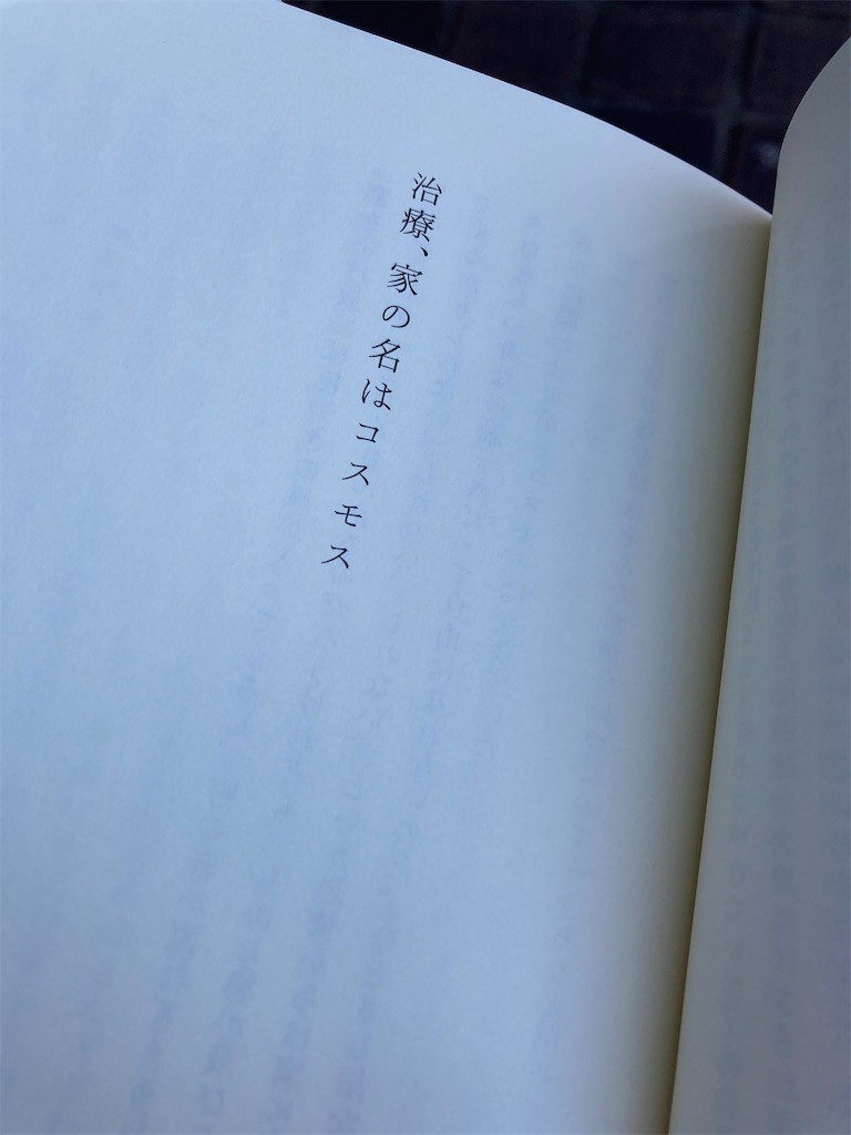 f:id:Magnoliarida:20201218110751j:image