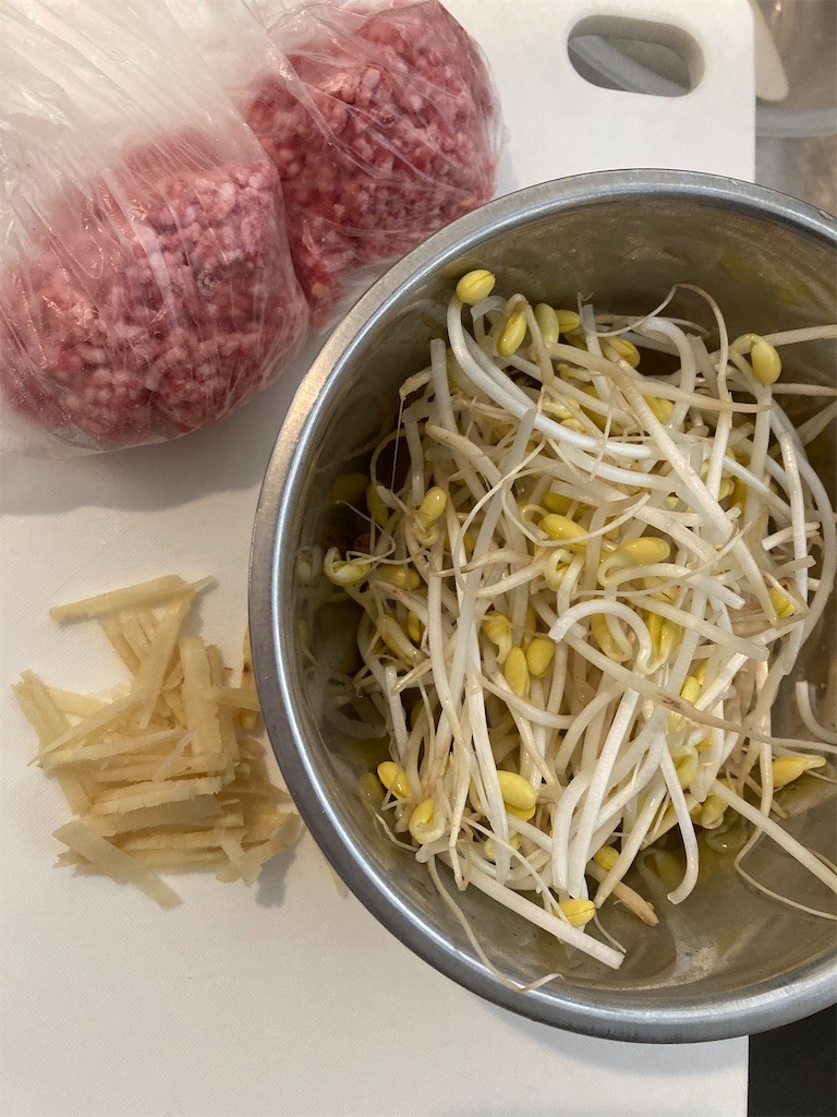 f:id:Magnoliarida:20201229113612j:image