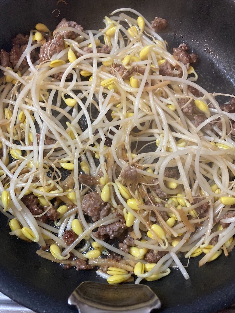 f:id:Magnoliarida:20201229113617j:image