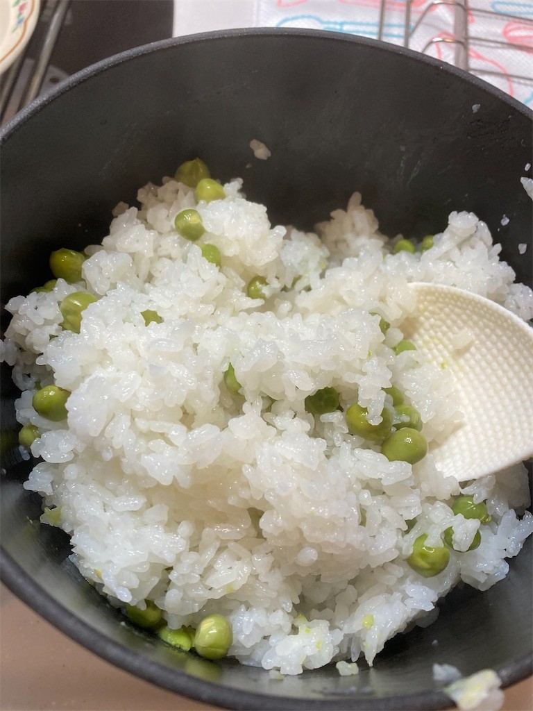 f:id:Magnoliarida:20201229194558j:image