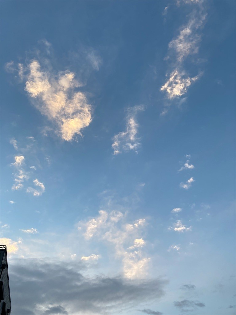 f:id:Magnoliarida:20201230071428j:image