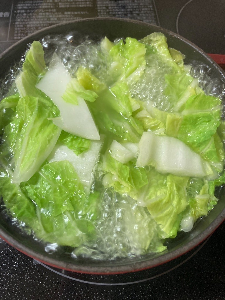 f:id:Magnoliarida:20201230085519j:image