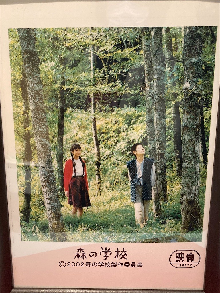 f:id:Magnoliarida:20210102191658j:image