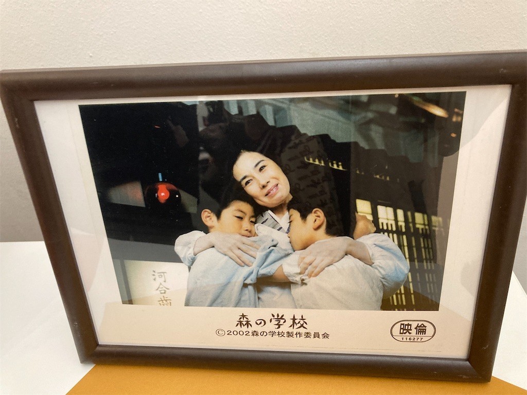 f:id:Magnoliarida:20210102191918j:image