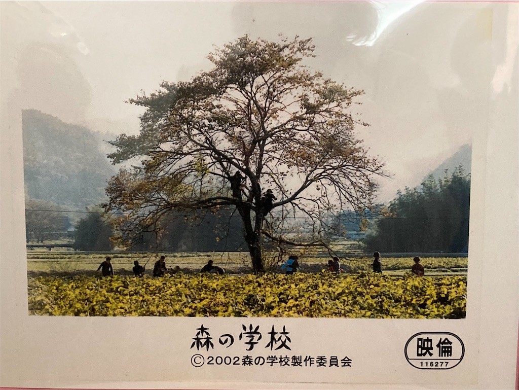 f:id:Magnoliarida:20210102191923j:image