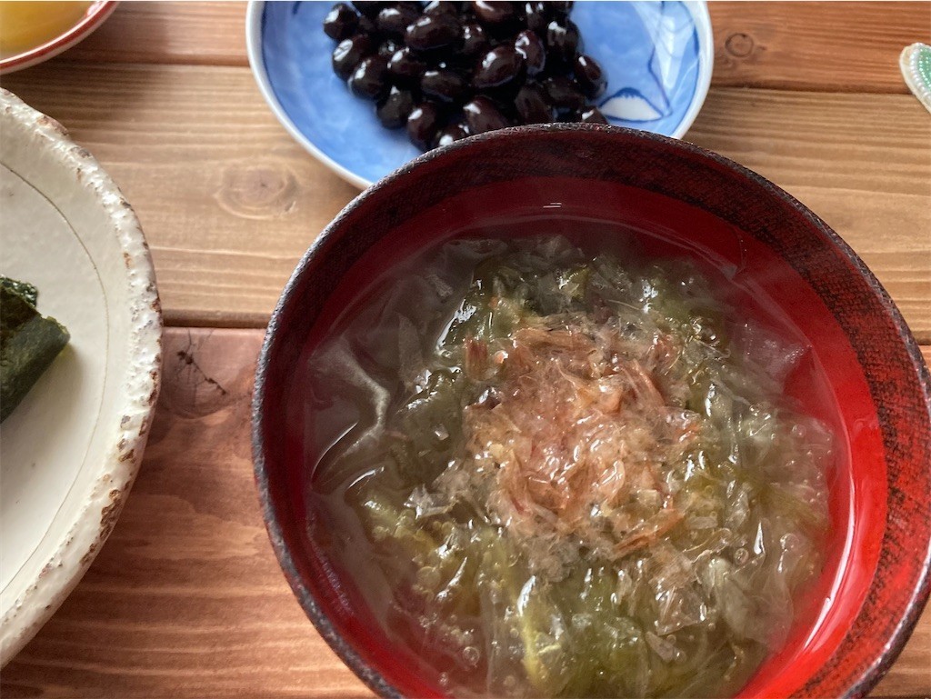 f:id:Magnoliarida:20210104082628j:image