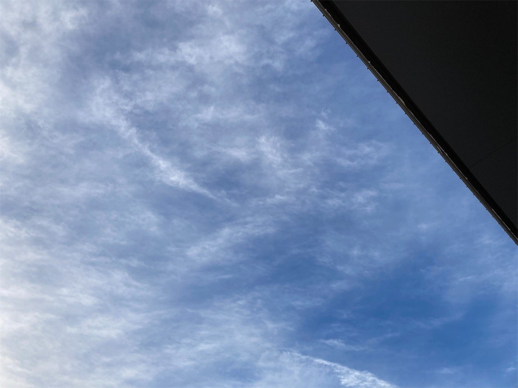 f:id:Magnoliarida:20210104083111j:image