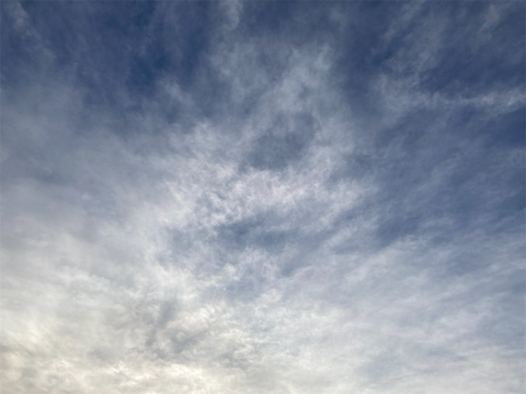 f:id:Magnoliarida:20210104083116j:image