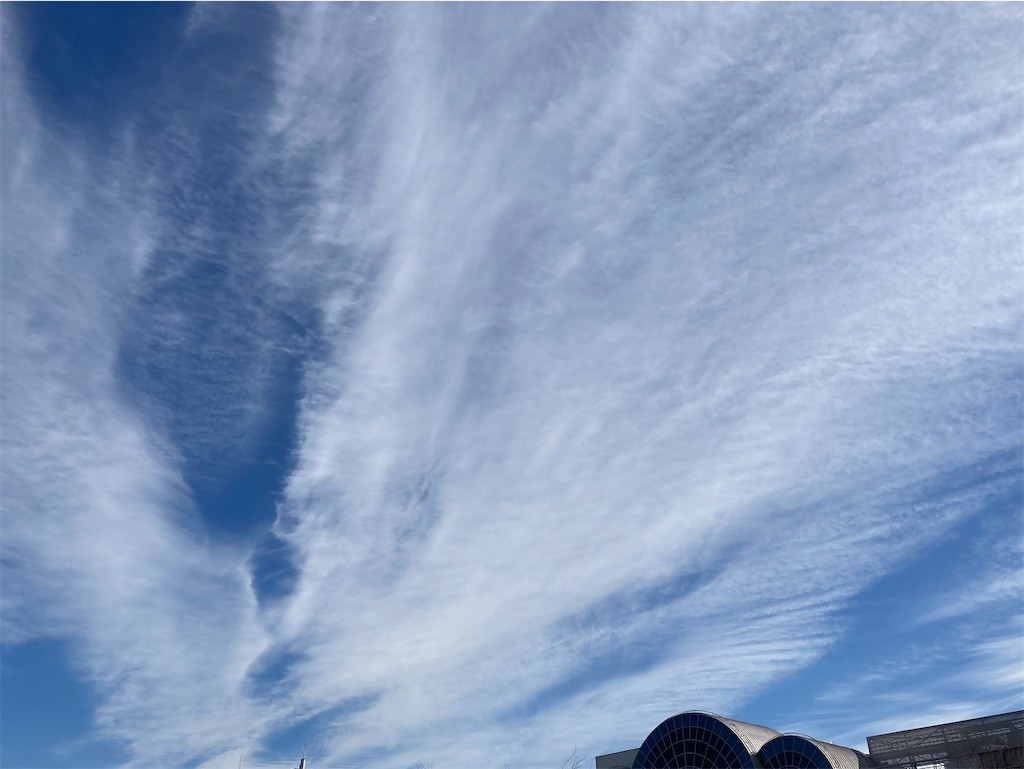 f:id:Magnoliarida:20210104182559j:image