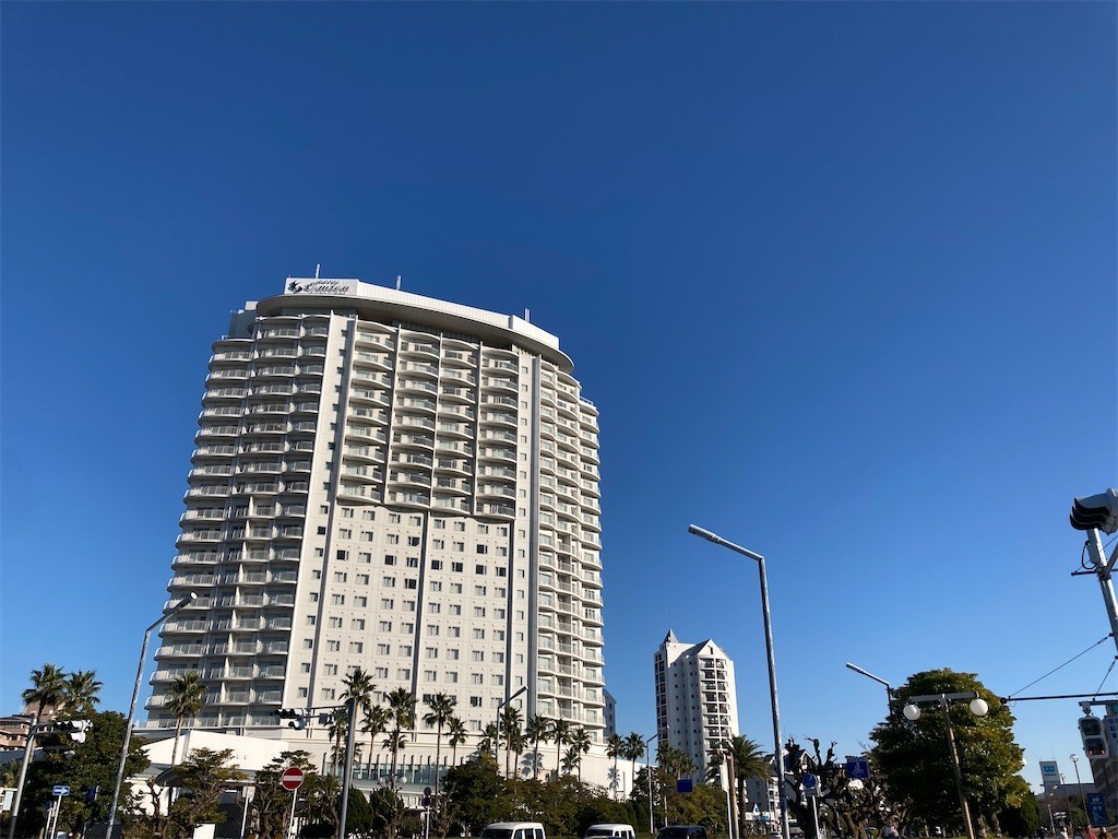 f:id:Magnoliarida:20210104182606j:image