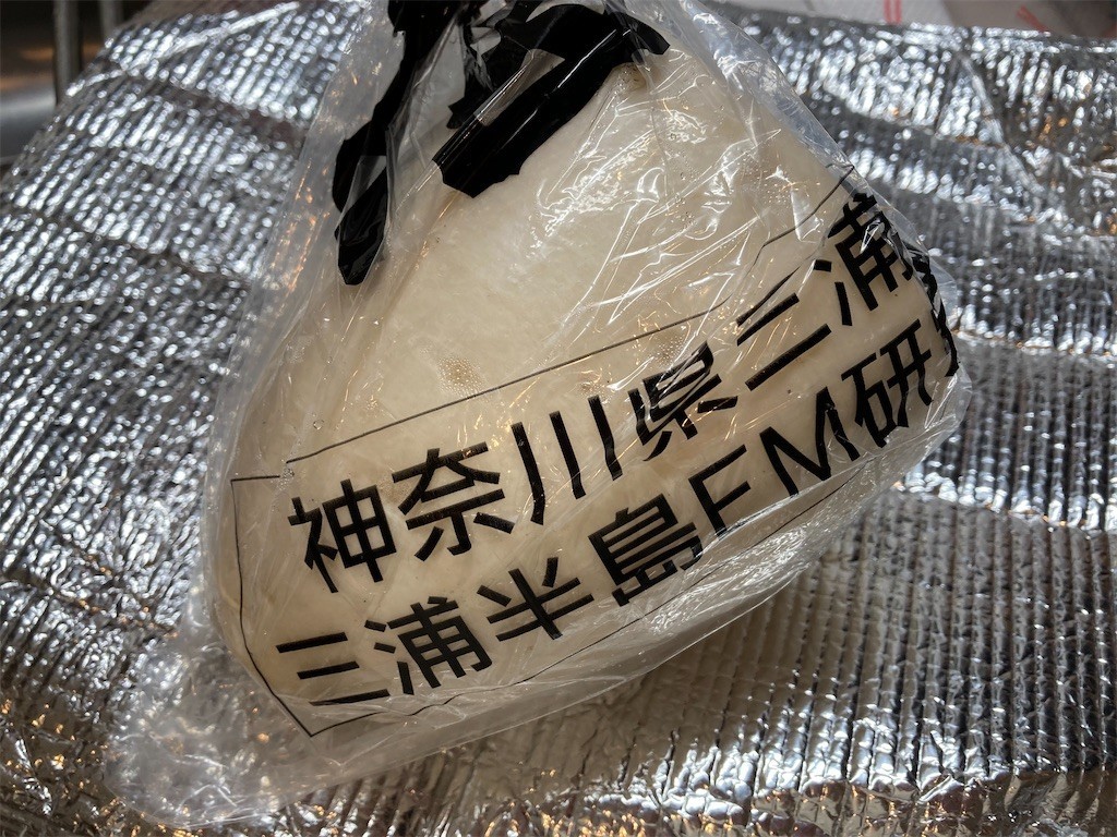 f:id:Magnoliarida:20210104183038j:image