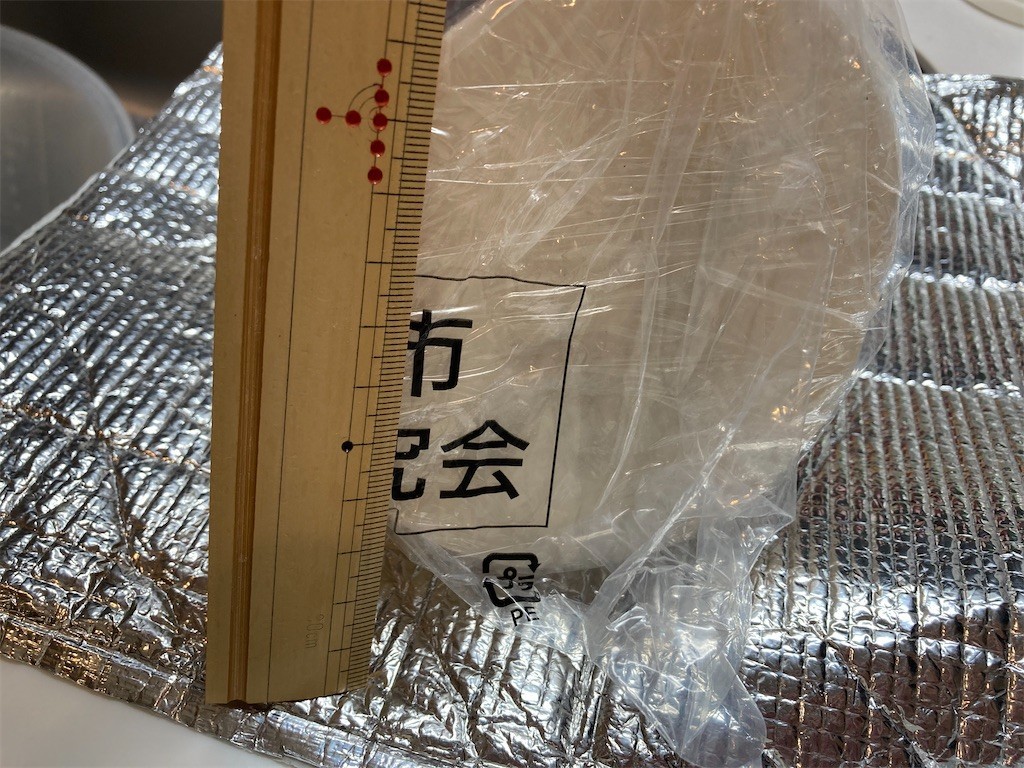 f:id:Magnoliarida:20210104183049j:image