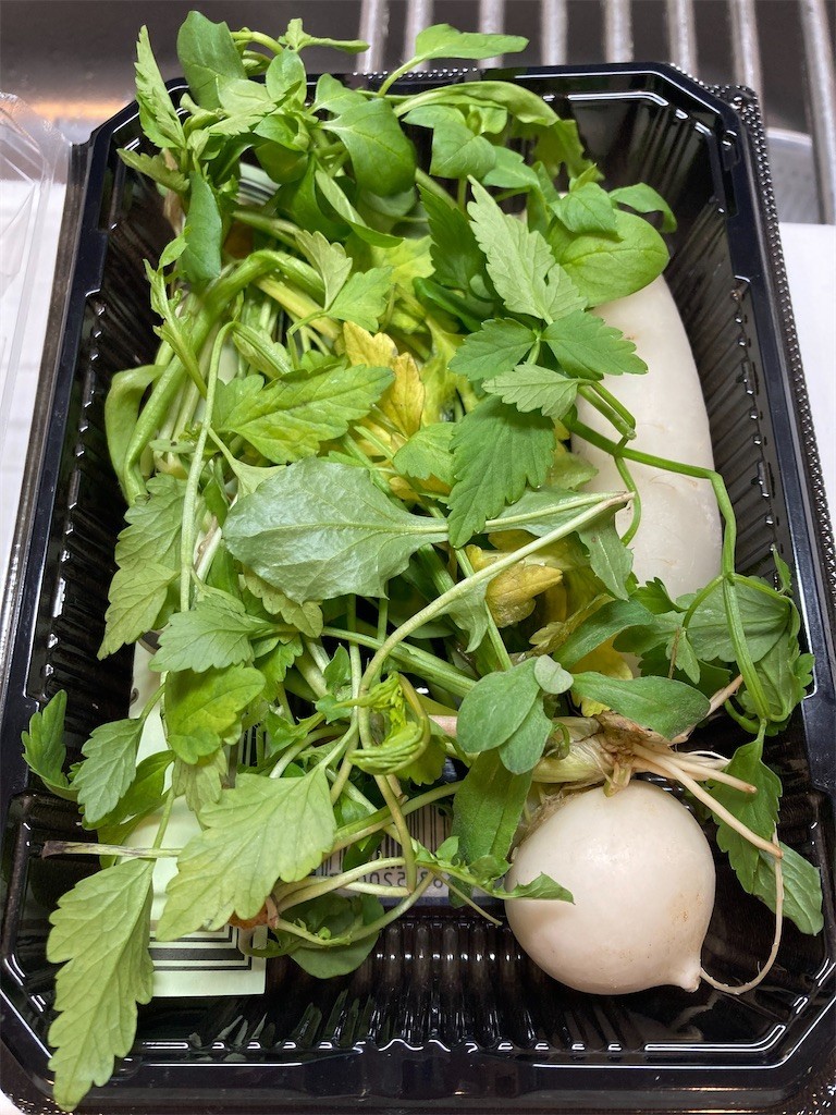 f:id:Magnoliarida:20210107222209j:image f:id:Magnoliarida:20210107222209j:image