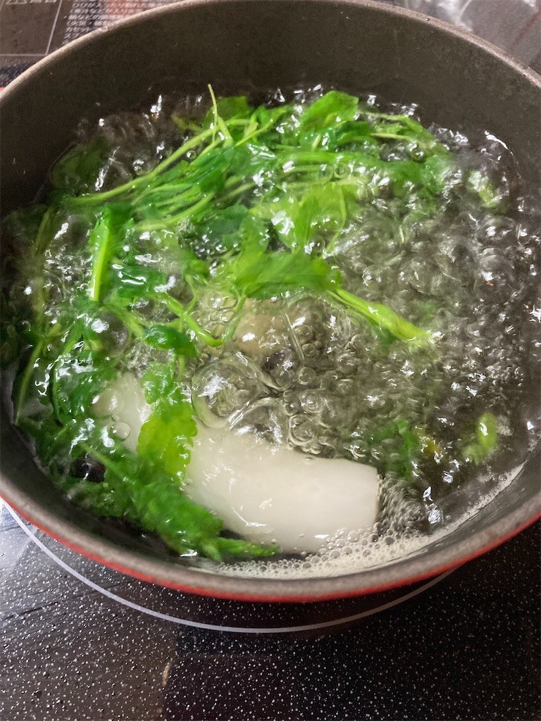 f:id:Magnoliarida:20210107222256j:image f:id:Magnoliarida:20210107222256j:image