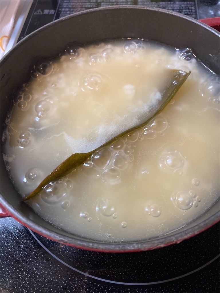 f:id:Magnoliarida:20210107222301j:image f:id:Magnoliarida:20210107222301j:image