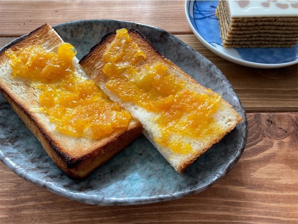 f:id:Magnoliarida:20210109104051j:image f:id:Magnoliarida:20210109104051j:image