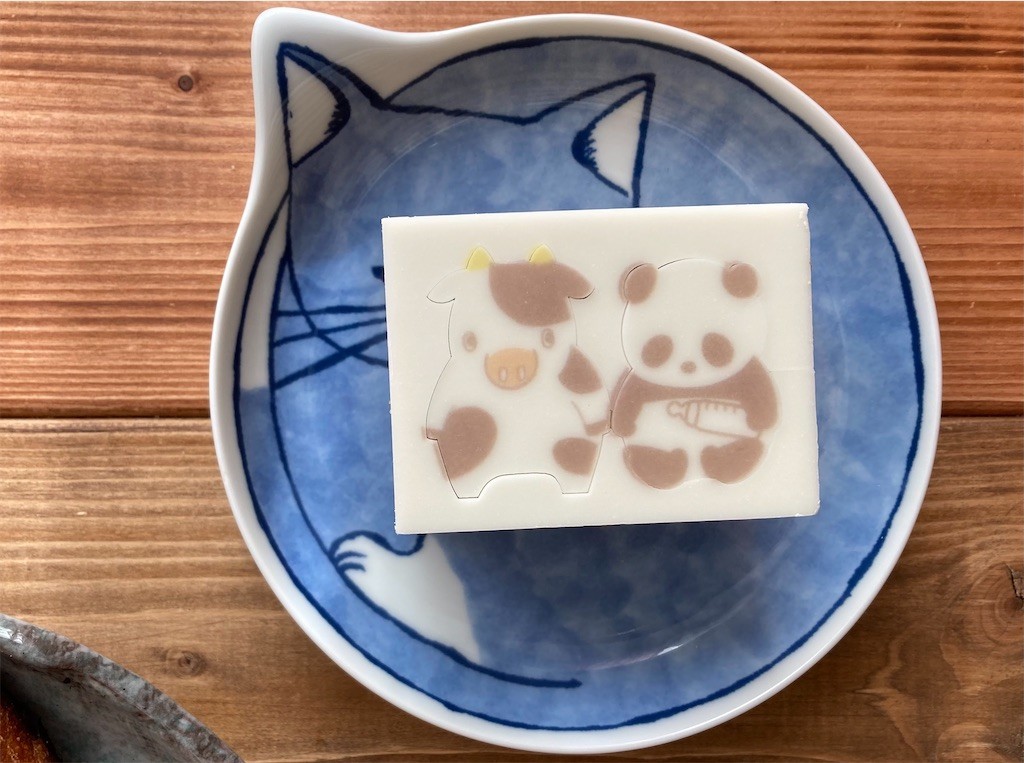 f:id:Magnoliarida:20210109104059j:image f:id:Magnoliarida:20210109104059j:image