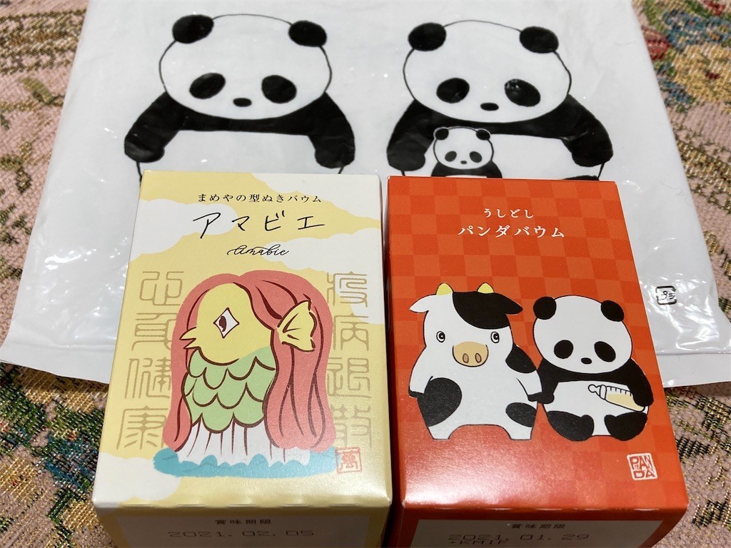 f:id:Magnoliarida:20210109104901j:image f:id:Magnoliarida:20210109104901j:image