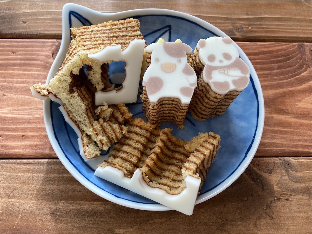 f:id:Magnoliarida:20210109110142j:image f:id:Magnoliarida:20210109110142j:image