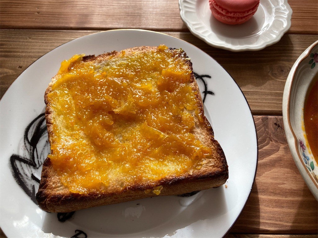 f:id:Magnoliarida:20210113102019j:image