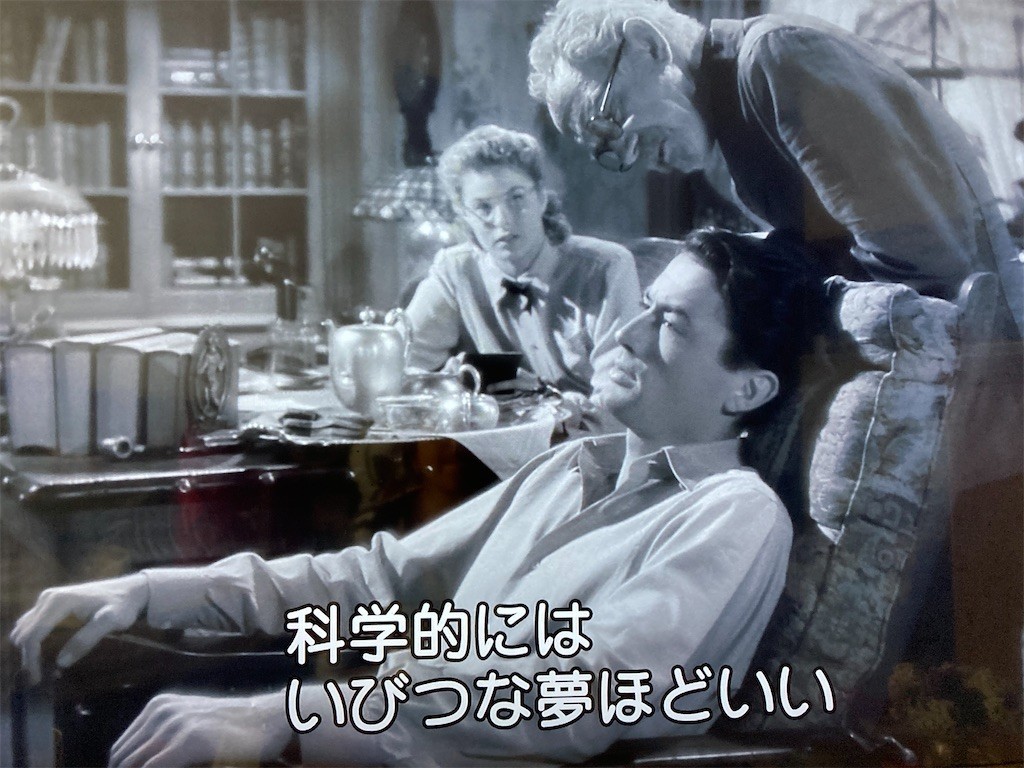 f:id:Magnoliarida:20210113155843j:image