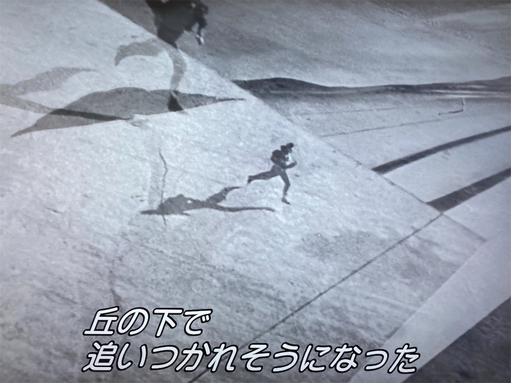 f:id:Magnoliarida:20210113155858j:image