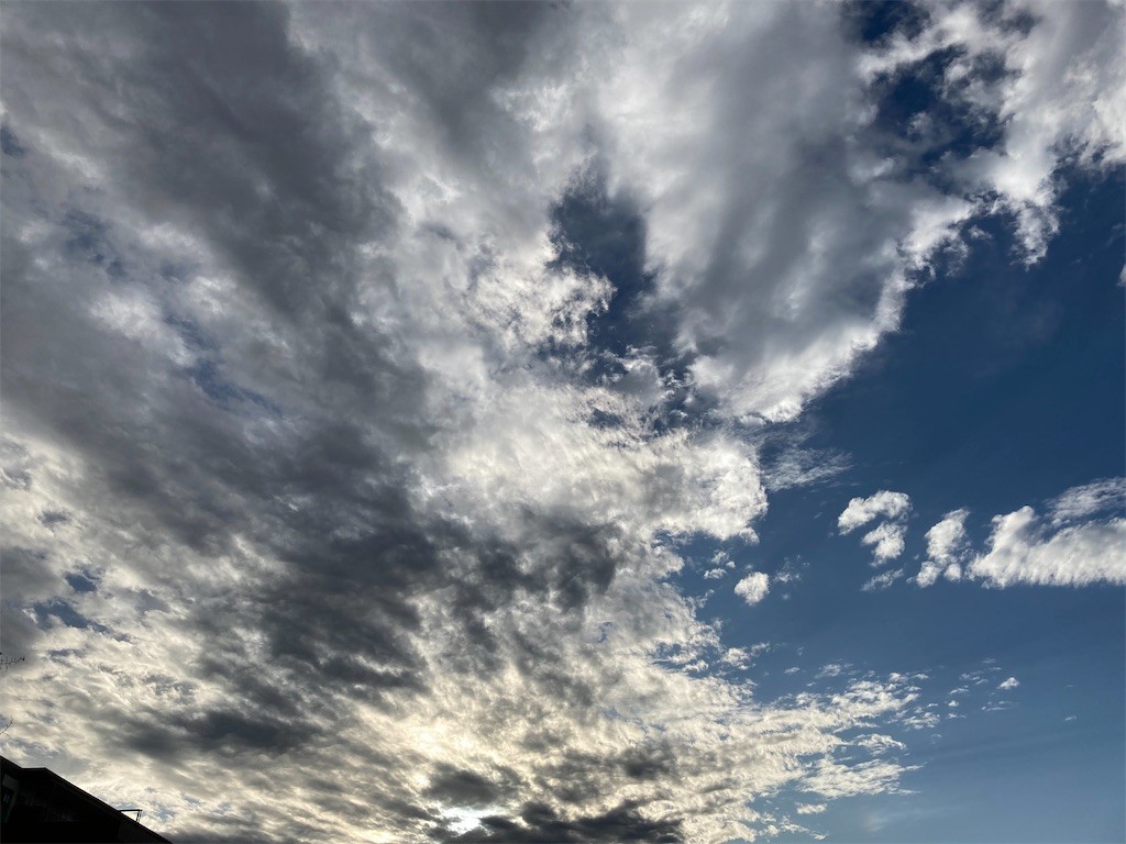 f:id:Magnoliarida:20210127164116j:image f:id:Magnoliarida:20210127164116j:image