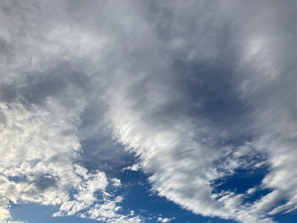 f:id:Magnoliarida:20210127164120j:image f:id:Magnoliarida:20210127164120j:image