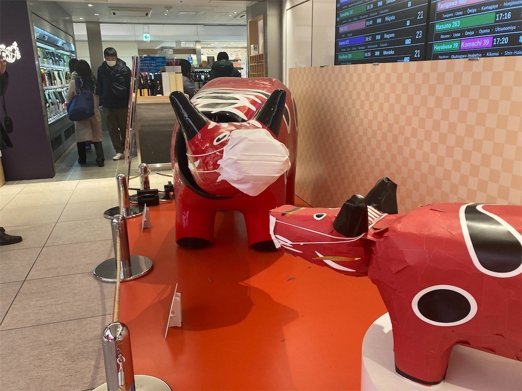 f:id:Magnoliarida:20210130171458j:image