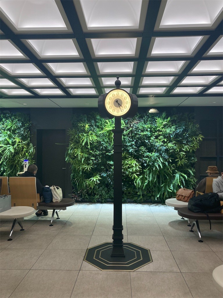 f:id:Magnoliarida:20210130171501j:image