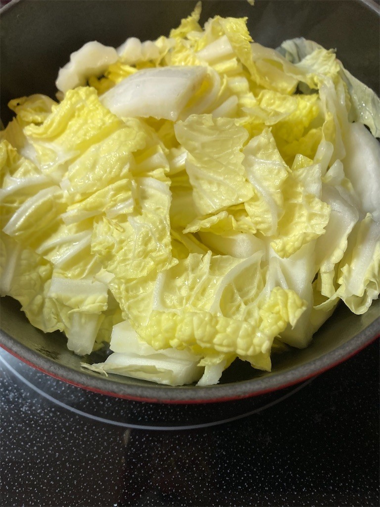 f:id:Magnoliarida:20210203084039j:image f:id:Magnoliarida:20210203084039j:image