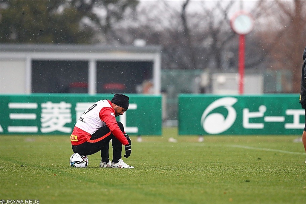 f:id:Magnoliarida:20210216232850j:image f:id:Magnoliarida:20210216232850j:image