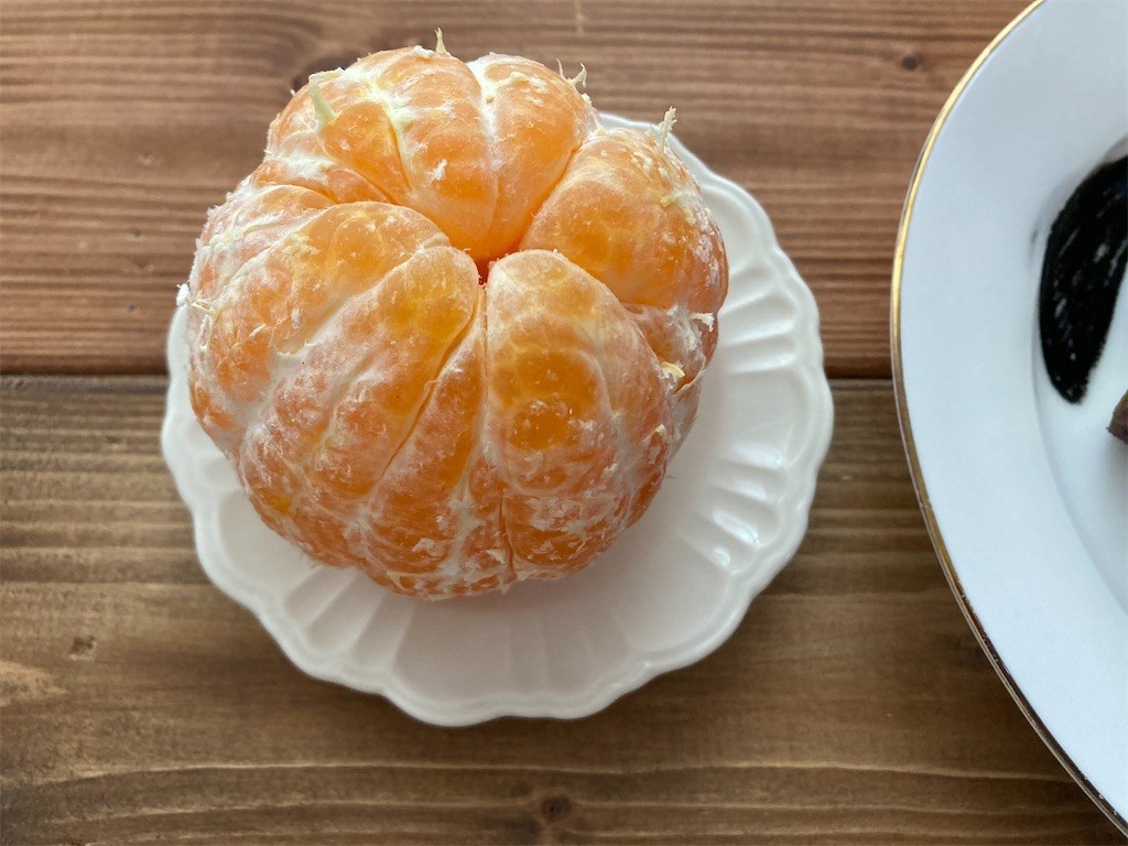 f:id:Magnoliarida:20210222071459j:image