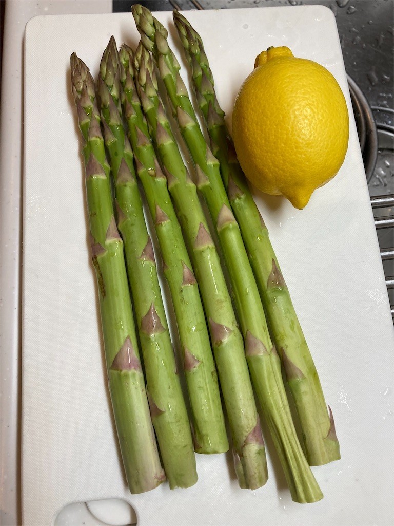 f:id:Magnoliarida:20210222071513j:image