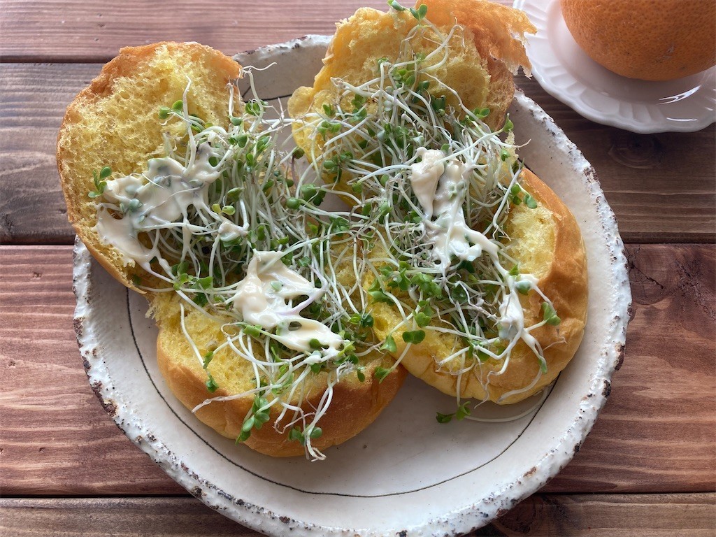 f:id:Magnoliarida:20210223092637j:image