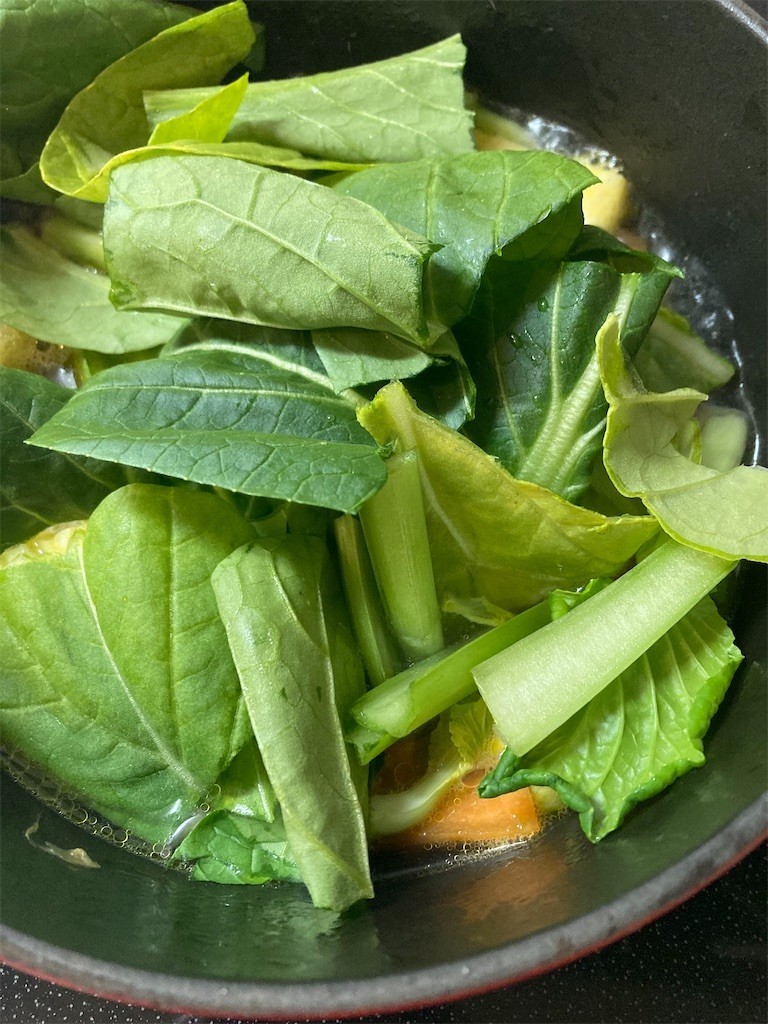 f:id:Magnoliarida:20210223092808j:image