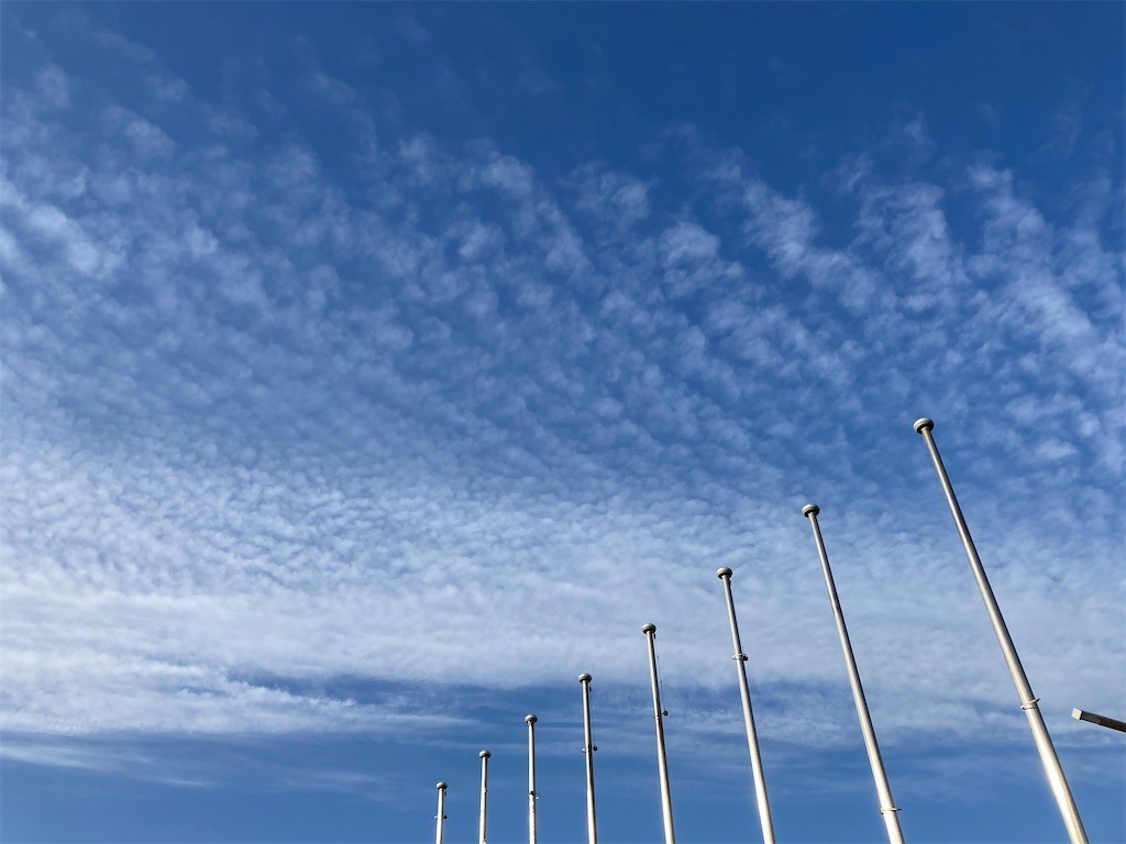 f:id:Magnoliarida:20210223171649j:image f:id:Magnoliarida:20210223171649j:image