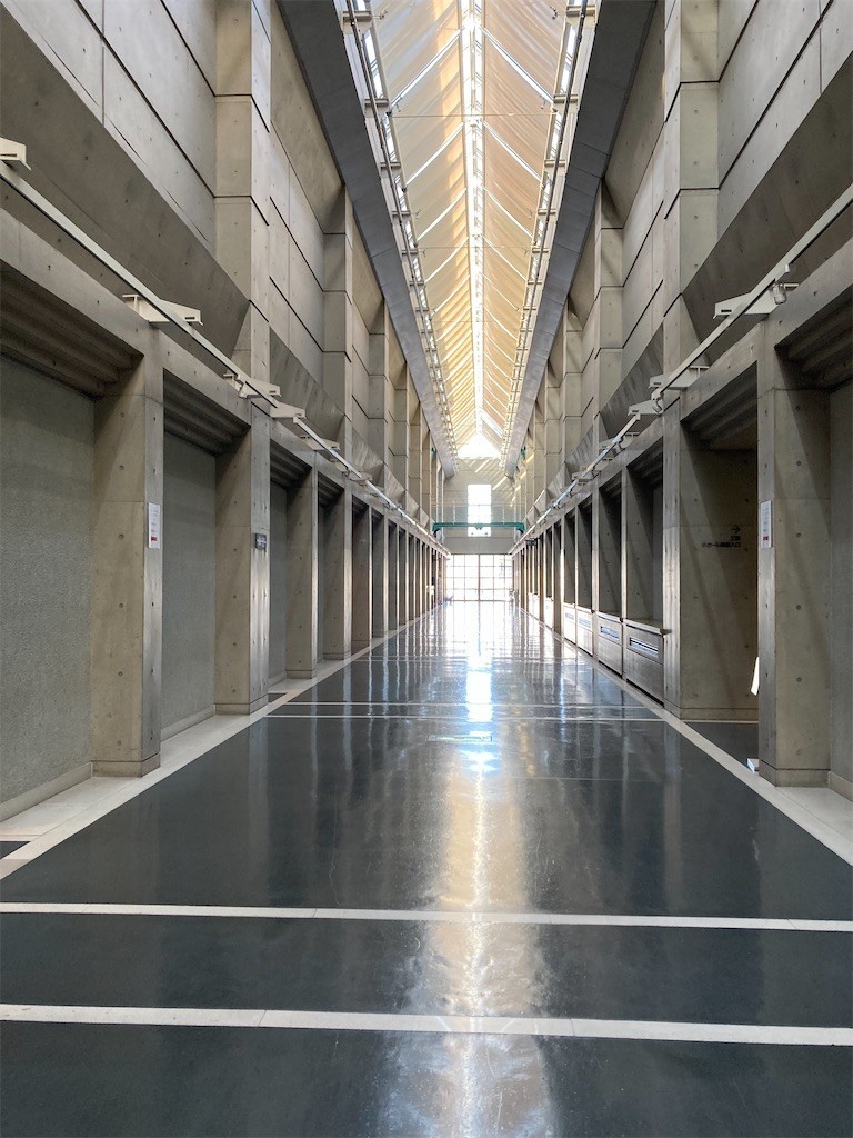 f:id:Magnoliarida:20210223171943j:image f:id:Magnoliarida:20210223171943j:image