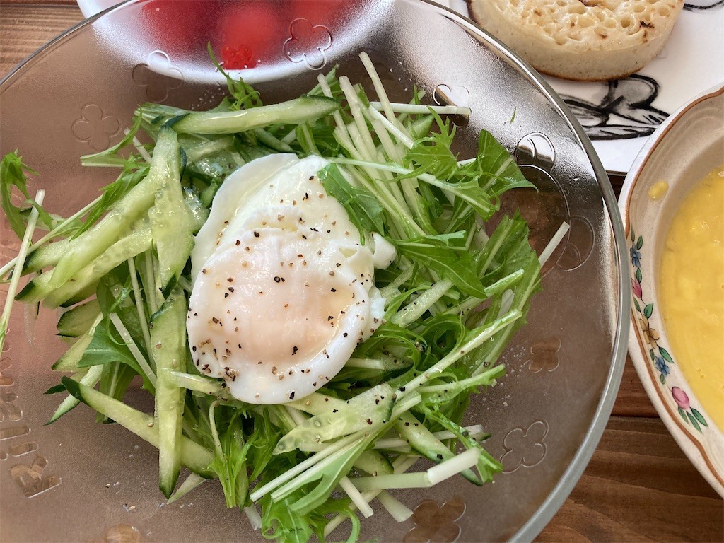 f:id:Magnoliarida:20210303084157j:image