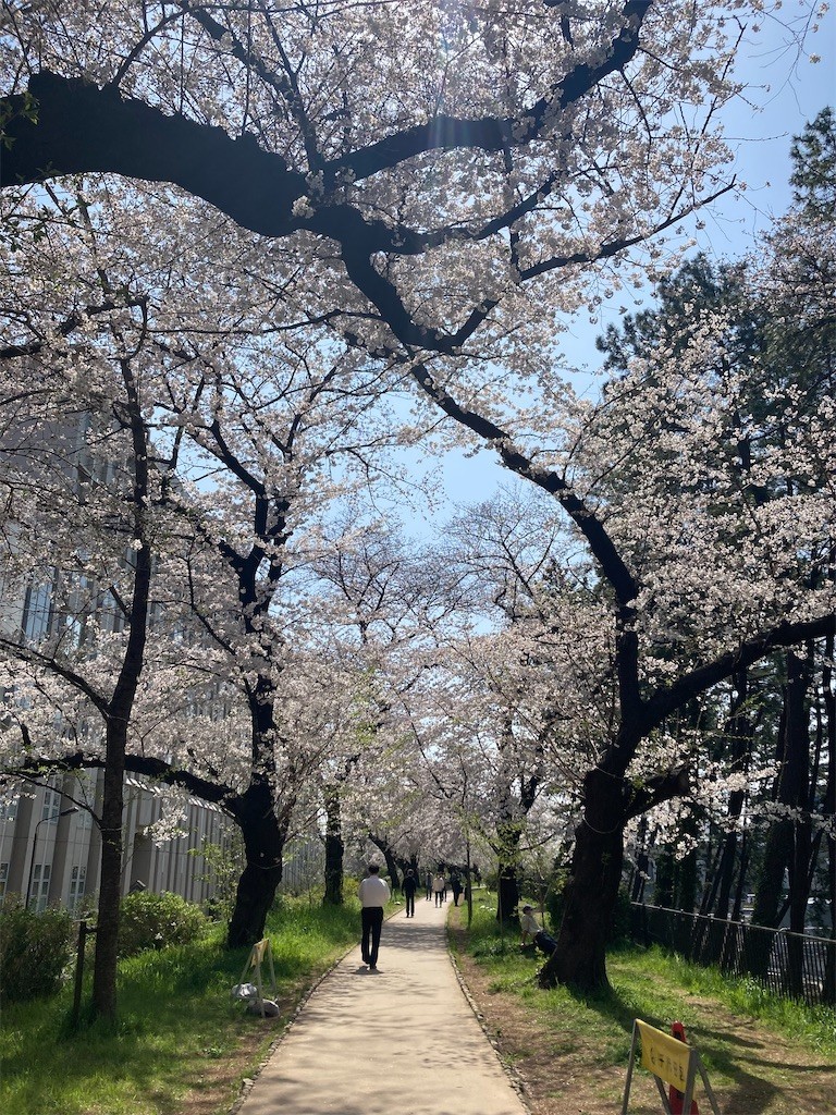 f:id:Magnoliarida:20210326151121j:image