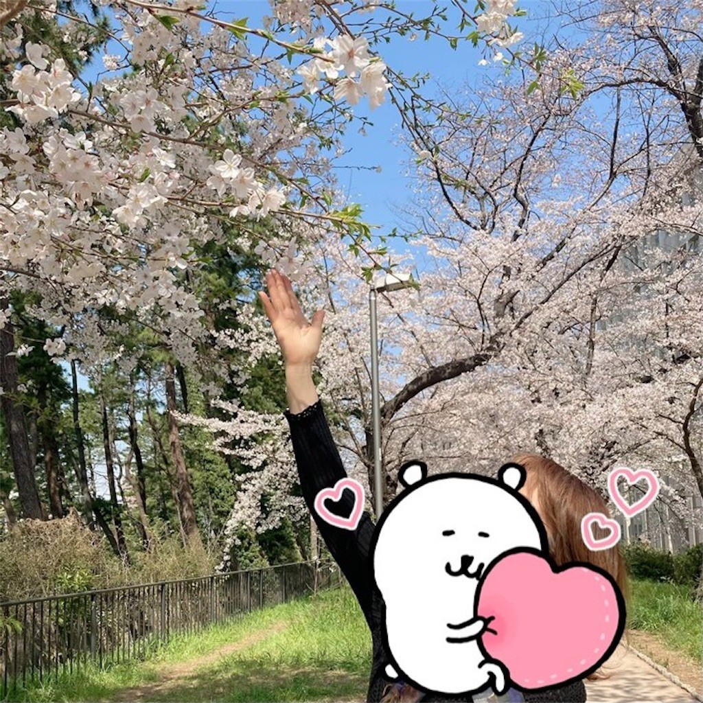 f:id:Magnoliarida:20210326184451j:image