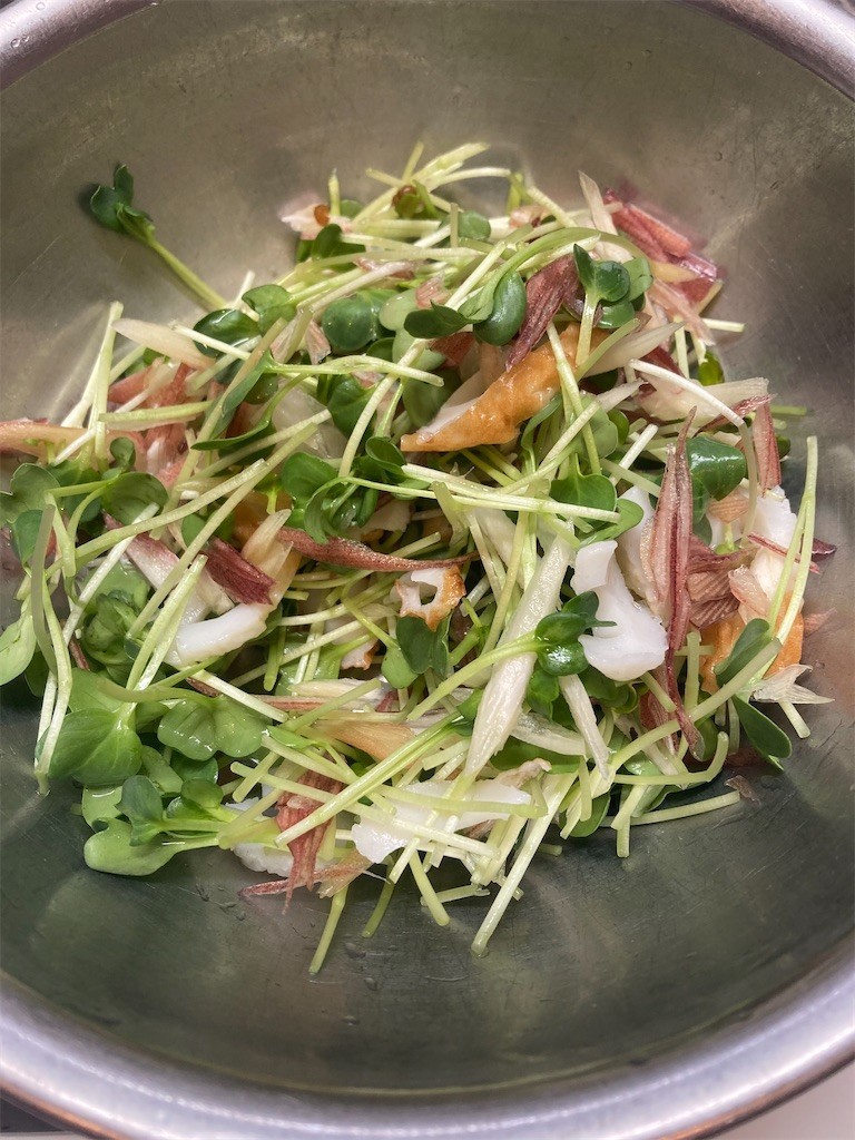 f:id:Magnoliarida:20210427072536j:image