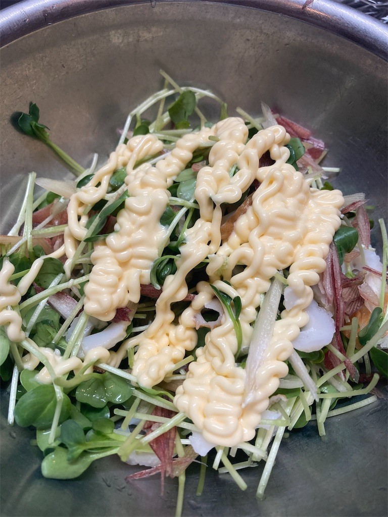 f:id:Magnoliarida:20210427072539j:image