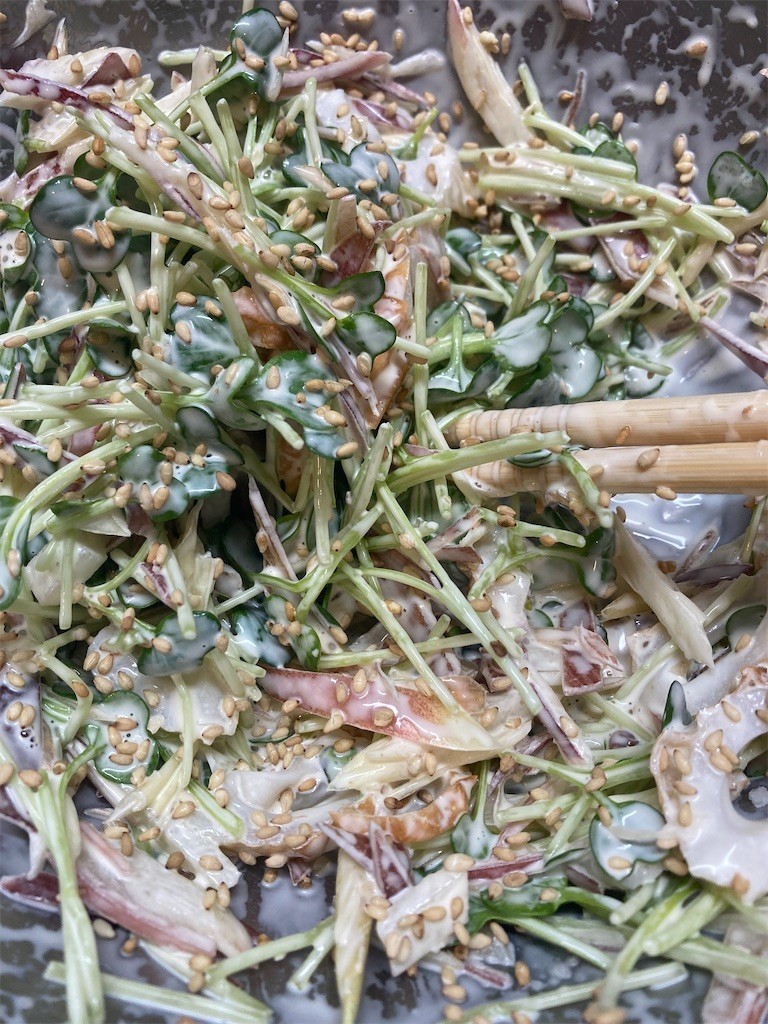 f:id:Magnoliarida:20210427072542j:image